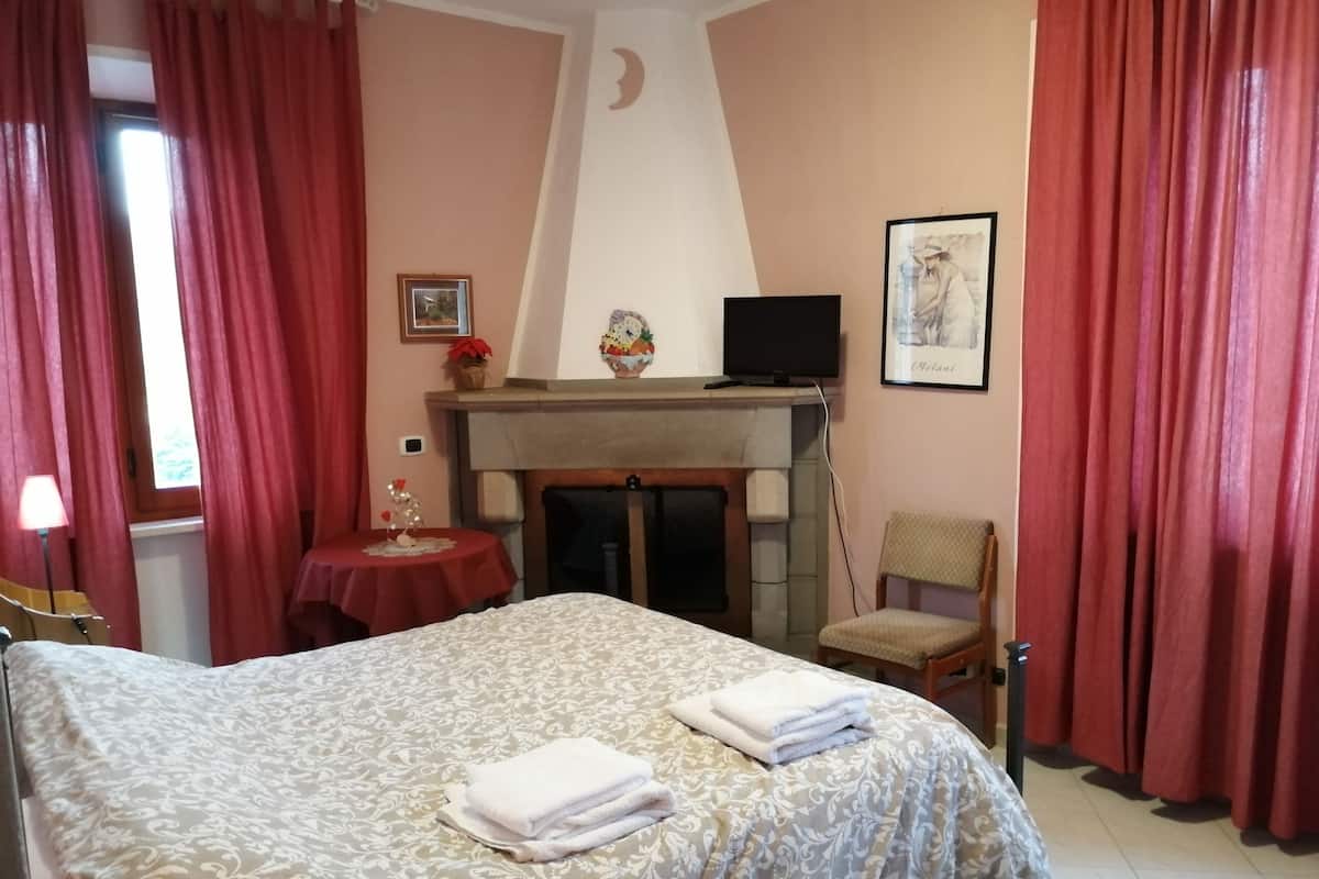 A hotel room with a bed, a fireplace, a television, a chair, and a small table with a vase.