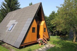 Unclassified image, 4 of 12, button