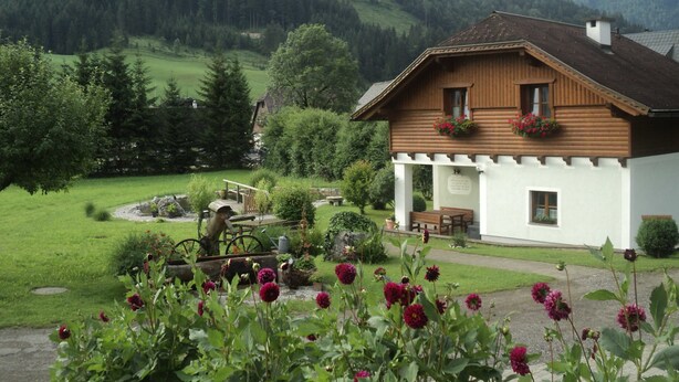 A wooden house with a porch, surrounded by a garden with flowers and a mountain backdrop.