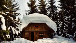A log cabin surrounded by snow-covered trees.