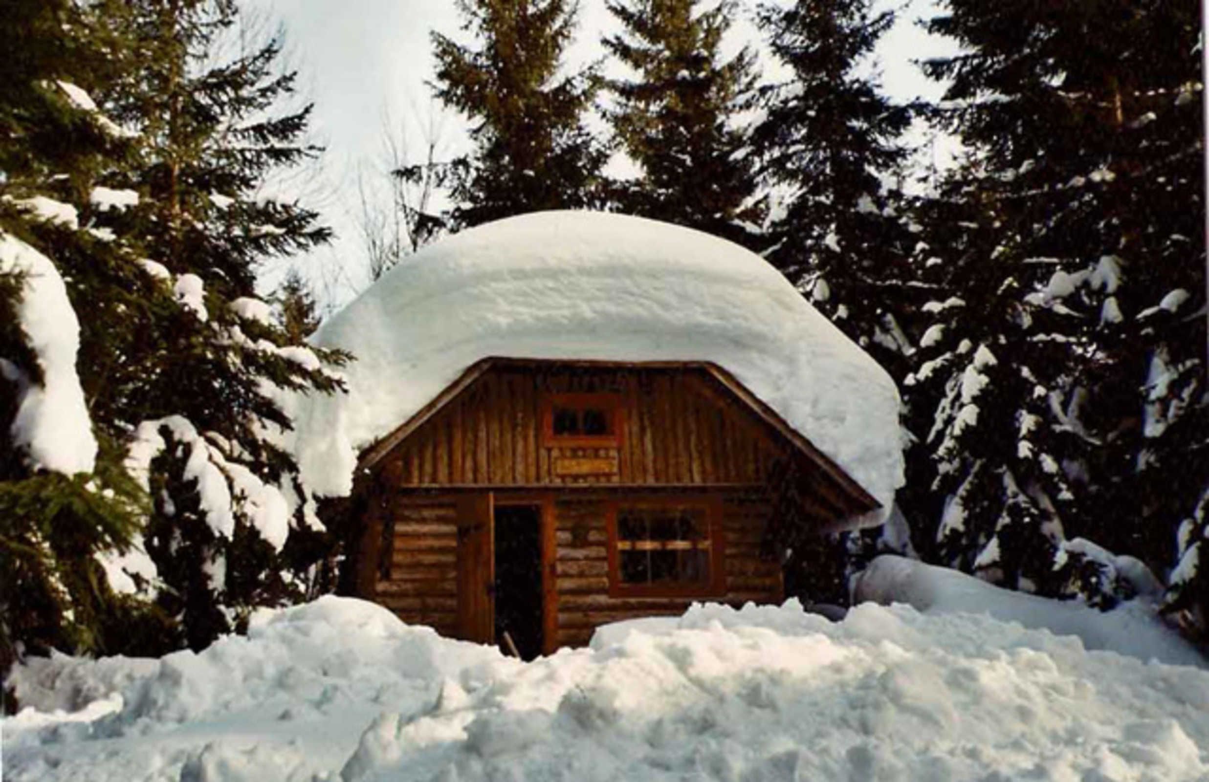 Una cabaña de troncos rodeada de árboles cubiertos de nieve.