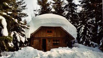 Una cabaña de troncos rodeada de árboles cubiertos de nieve.