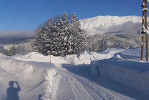 Un paysage enneigé, avec un ciel dégagé, un arbre recouvert de neige et une montagne en arrière-plan.