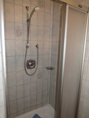 Une douche équipée d’un pommeau de douche à main et d’un pommeau de douche fixe, d’une porte en verre et d’un mur carrelé orné de motifs floraux.