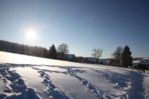 Unclassified image, 2 of 11, button