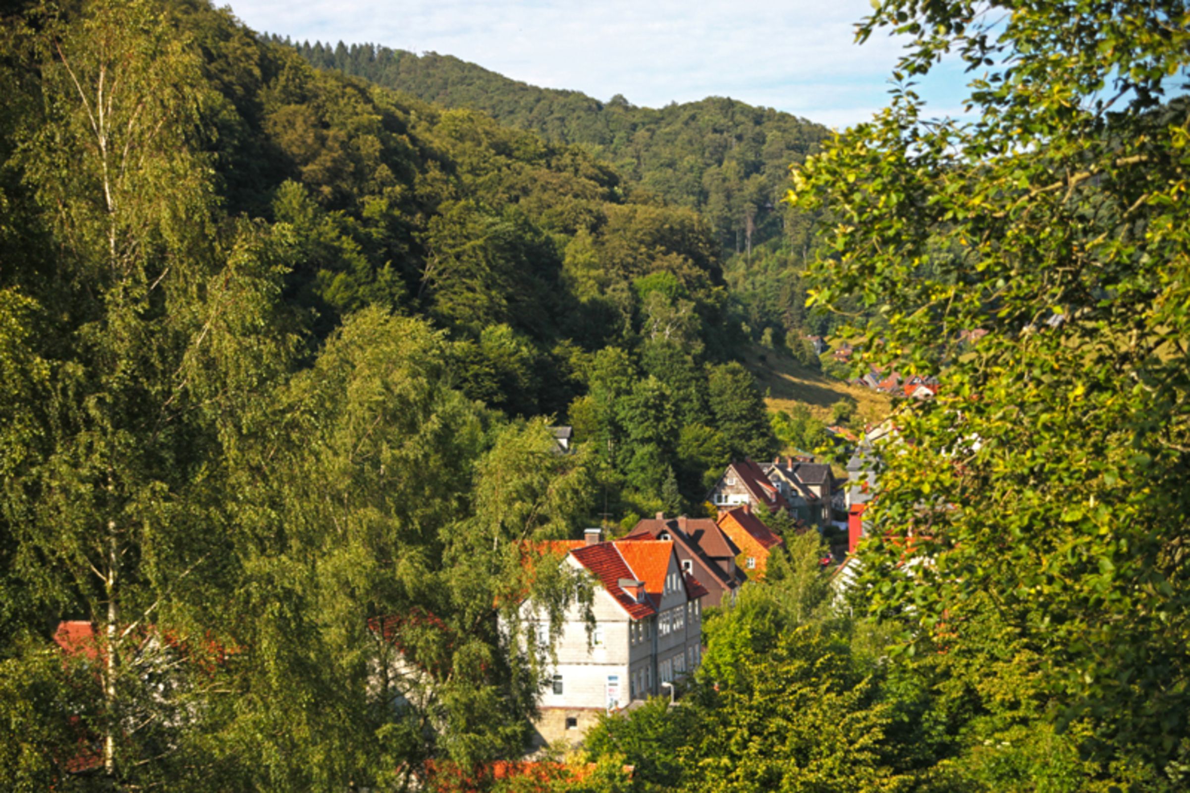 A hillside village with traditional houses, dense forest, and a clear sky.