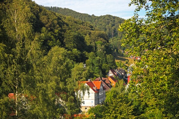 A hillside village with traditional houses, dense forest, and a clear sky. - Fewo Lerbachtal - Fewo Lerbachtal R3 2-4 persons (Osterode am Harz)