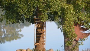 A wooden ladder with circular cutouts leaning against a tree by a calm lake. - Duck's Nest - Thatched Aspen House (Grebin)
