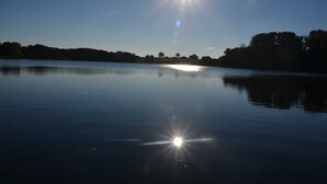 A calm lake with a clear sky and trees in the background. - Duck's Nest - Thatched Aspen House (Grebin)