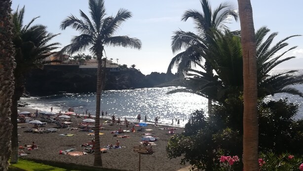 Ein Strand mit Palmen, Sonnenschirmen und Menschen.