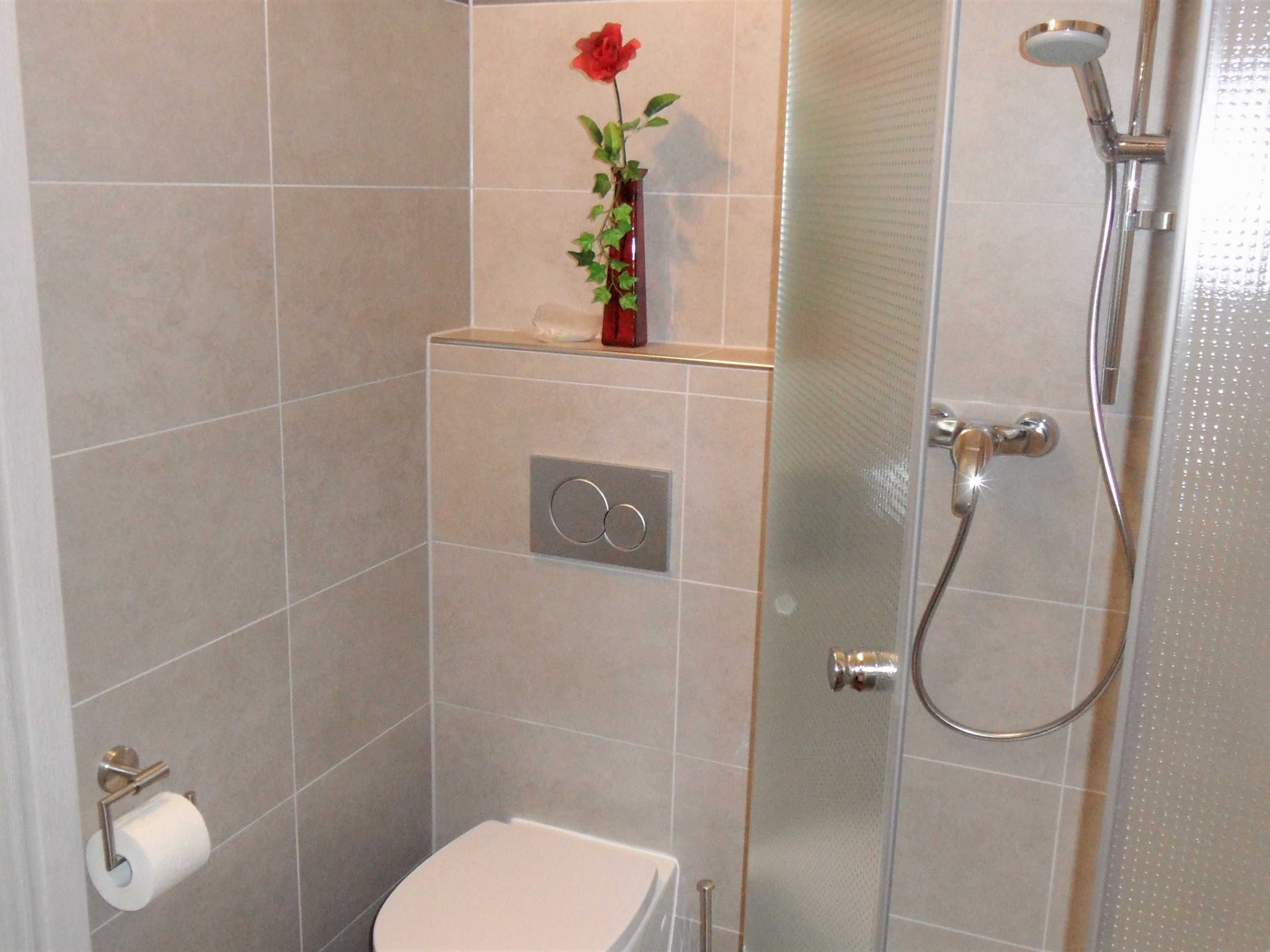 Une salle de bain moderne avec des toilettes, une douche à parois de verre et une petite étagère ornée d’une rose rouge.
