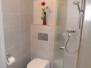 Ducha, secador de pelo, toallas