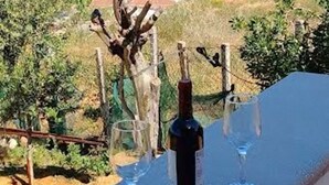 A bottle of wine and two glasses on a table overlooking a coastal landscape. - Nice Casa Andrea with beautiful panoramic views of the sea (Balestrate)