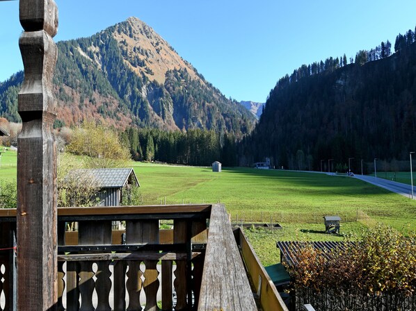 Unclassified image, 1 of 12, button