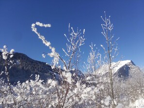 Image sans description, 5 de 40, bouton