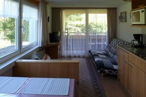 Une pièce de taille modeste comprenant un canapé, une petite table, un téléviseur et un coin cuisine.