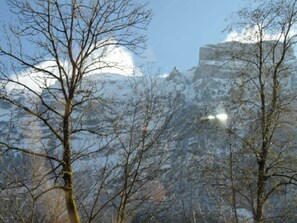 Oklassificerad bild, 4 av 12, knapp