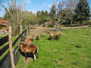 Uklassifisert bilde, 4 av 19, knapp