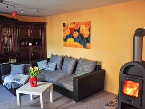 TV, fireplace - Vacation in the country - Holiday apartment (Ahrenshagen-Daskow)