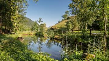 Eine friedliche Landschaft mit Teich, üppigem Grün und einer Holzbrücke.