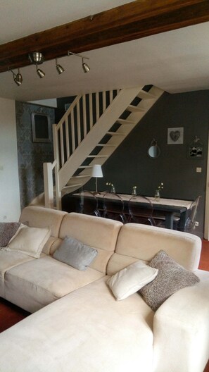 Télévision, cheminée, lecteur de DVD, livres