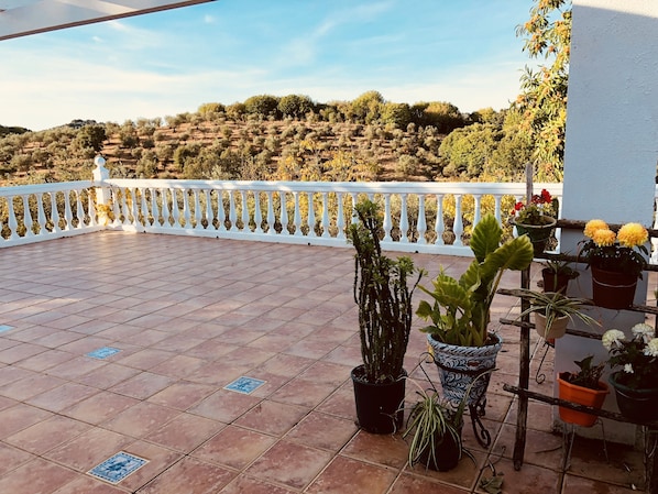 Terrace/patio