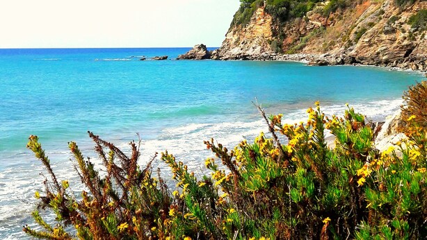 A coastal landscape with clear blue sea, rocky cliffs, and dense vegetation in the foreground.