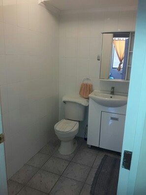 Une petite salle de bain avec des toilettes, un lavabo et un miroir.