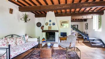 TV, fireplace, books