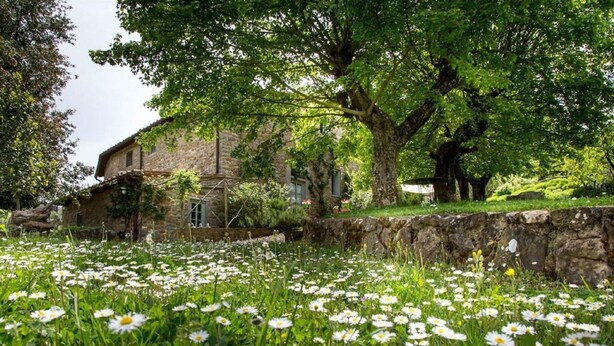 A stone building with a garden full of white flowers, surrounded by trees. - A luxury escape in Chianti, great landscape, stunning views, swimming pool (San Polo in Chianti)