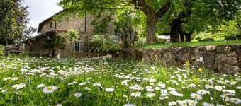 A luxury escape in Chianti, great landscape, stunning views, swimming pool