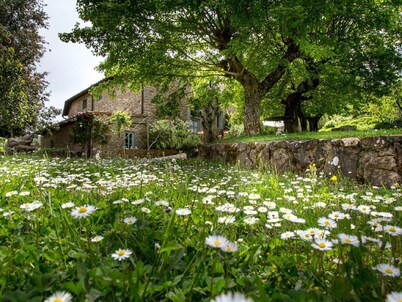 A luxury escape in Chianti, great landscape, stunning views, swimming pool
