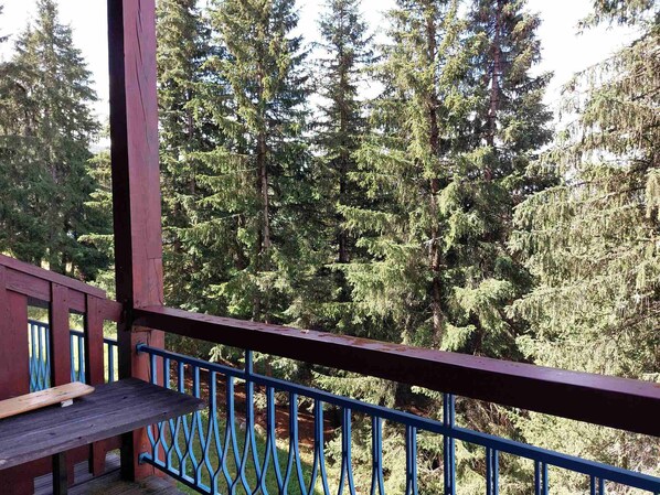 Enjoy a serene forest view from this deck overlooking tall evergreen trees.