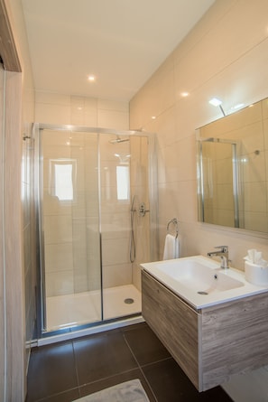 Combined shower/tub, hair dryer, bidet, towels