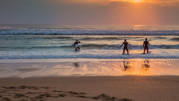 Escena de playa con tres surfistas caminando por la orilla, llevando tablas de surf.