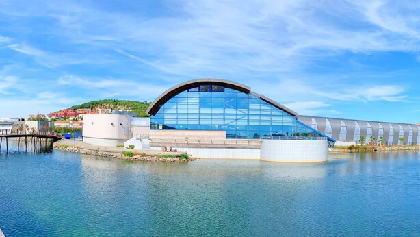 Ein modernes Gebäude mit einer gewölbten Glasfassade, gelegen an einem ruhigen Gewässer, mit blauem Himmel darüber.