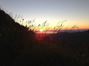 Un coucher de soleil sur un paysage vallonné, avec de hautes herbes au premier plan.