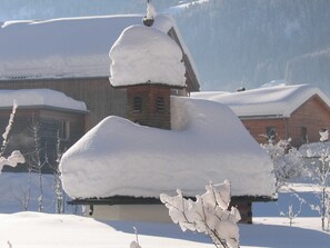 Unclassified image, 5 of 26, button