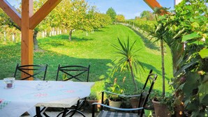 Un patio al aire libre con una mesa y sillas, rodeado de macetas con plantas y vistas a un campo verde y árboles.