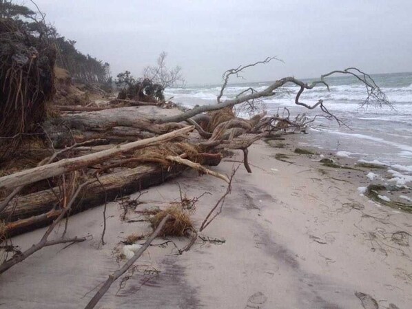 Unclassified image, 1 of 21, button