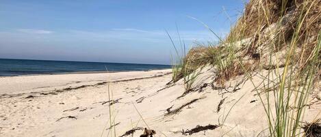 Tæt på stranden