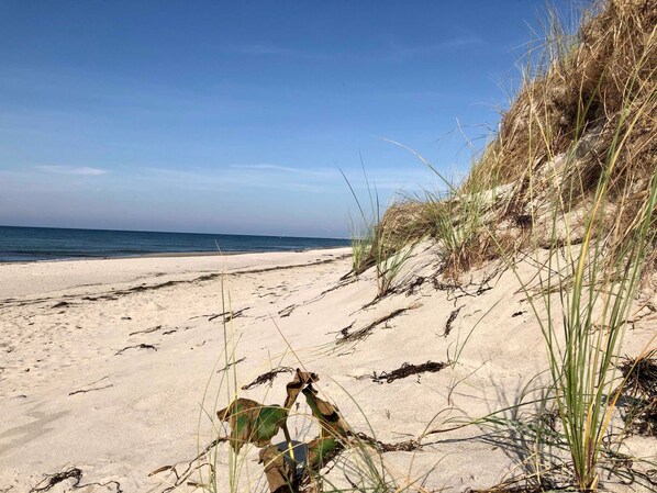 Nära stranden
