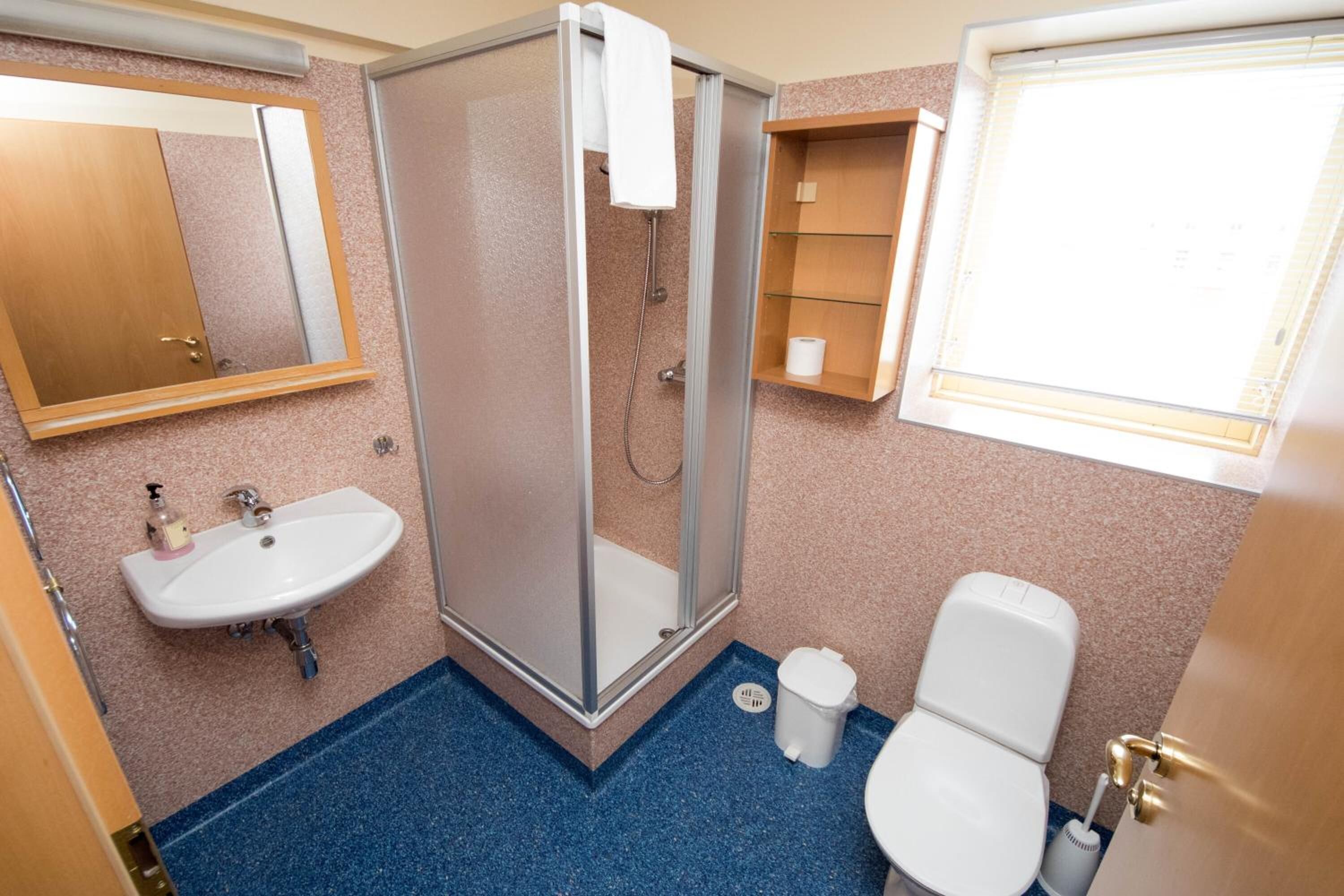 shower, free toiletries, hair dryer, towels