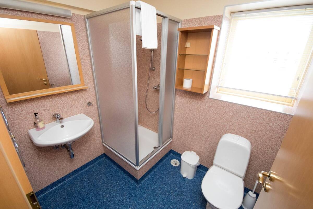 shower, free toiletries, hair dryer, towels