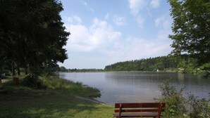 Eine Bank am See, umgeben von Bäumen, mit blauem Himmel.