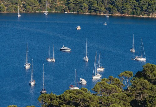 Pet friendly home in Kornati