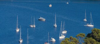 Pet friendly home in Kornati