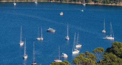 Pet friendly home in Kornati