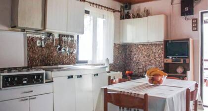 Pet friendly home in Kornati