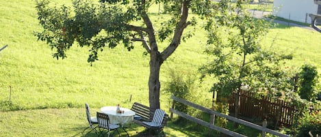 A grassy outdoor area with a tree, a table, two chairs, and a wooden fence.